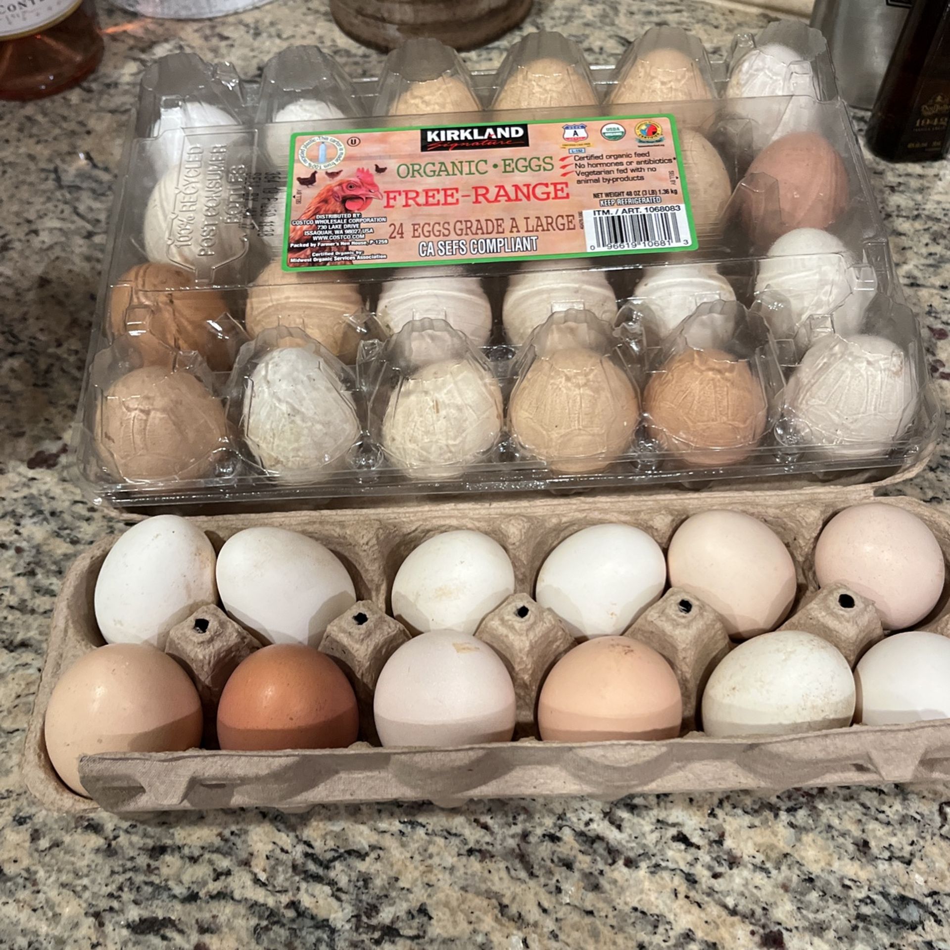 Fresh Eggs
