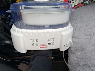 Food steamer