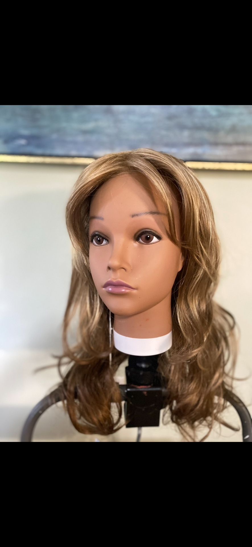 “Alanna” Wig By Envy. New With Tags