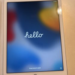 Apple ipad Air 2.   16gb