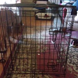 Brand New Really Nice Big Dog Cage