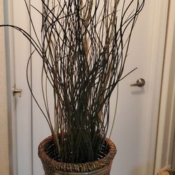 Brand New Beautiful  Tall VVase ( Never Used ). 