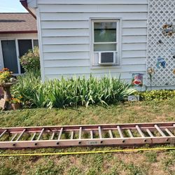 20 Foot Extension Ladder 