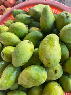 Tenemos mango tierno a la venta $4 la libra.
