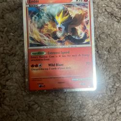 Entei Holo