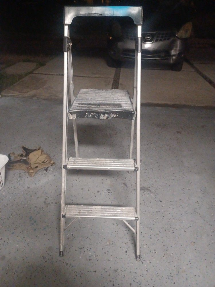 Platform Ladder