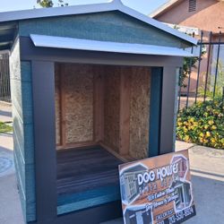 Dog House 