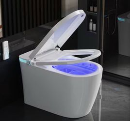 Brand New Smart Bidet Toilet