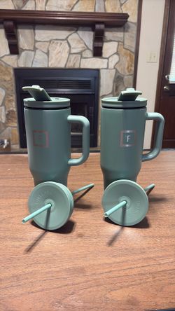 Iron Flask Co-Pilot Insulated Mugs in Sage Green