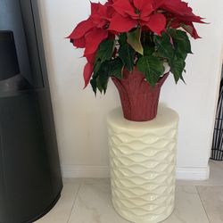 Ceramic Stool Brand The $55 Only One Available