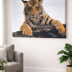 🐅 Large Bengal Tiger Canvas Wall Art – 36” x 24” Statement Piece