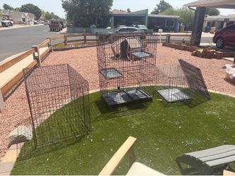 Bird cage dog cage animal cage
