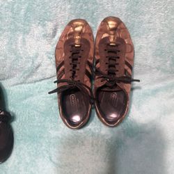 Tenis 
