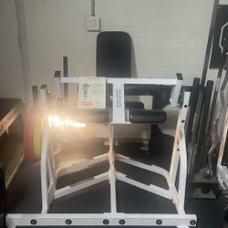 Hammer Strength Seated Leg Curl