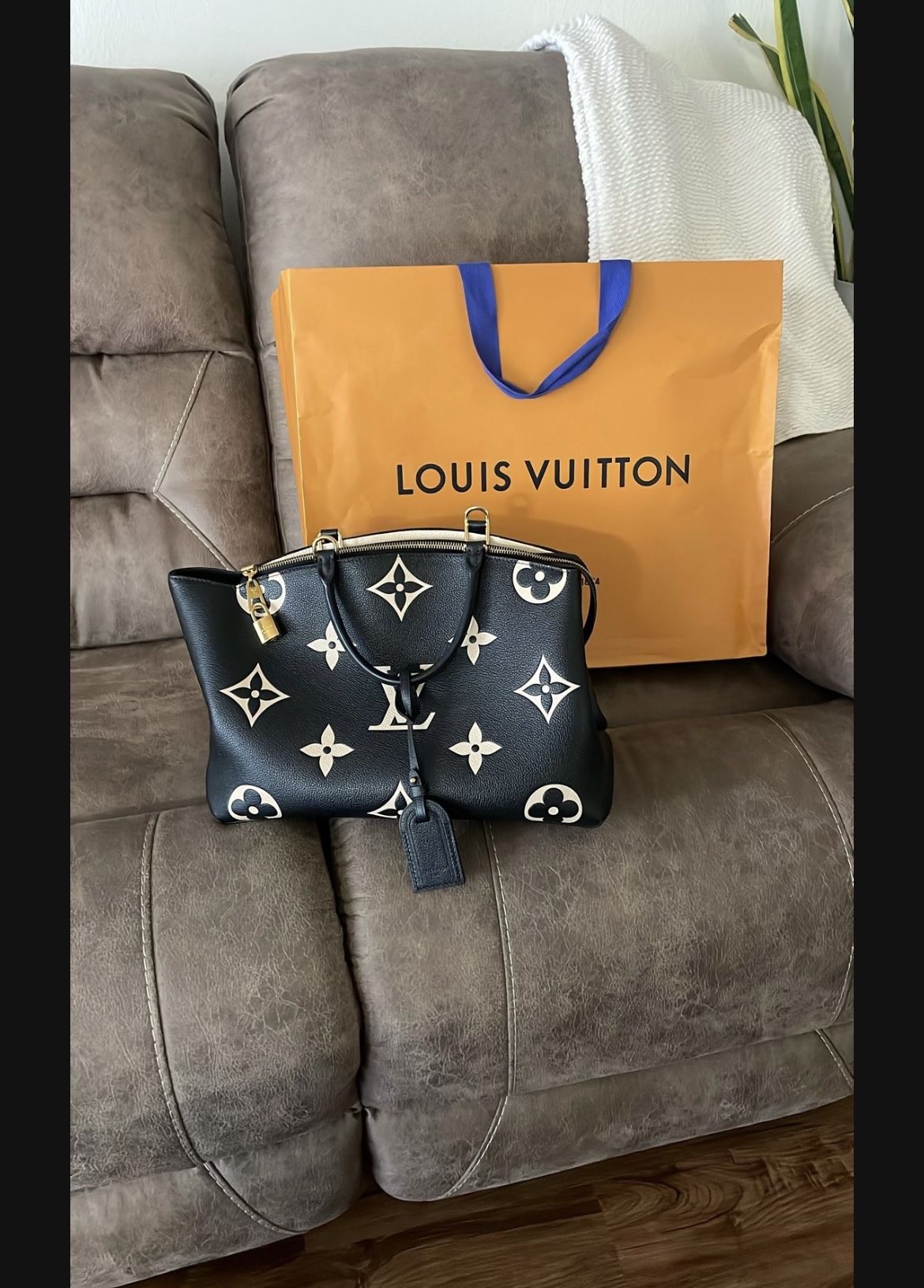 Louis Vuitton Purse