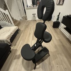 Professional Massage Chair 