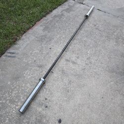 Weight Rogue Women Bar