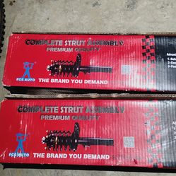 FCS Complete Strut Assembly – Front L & R – New