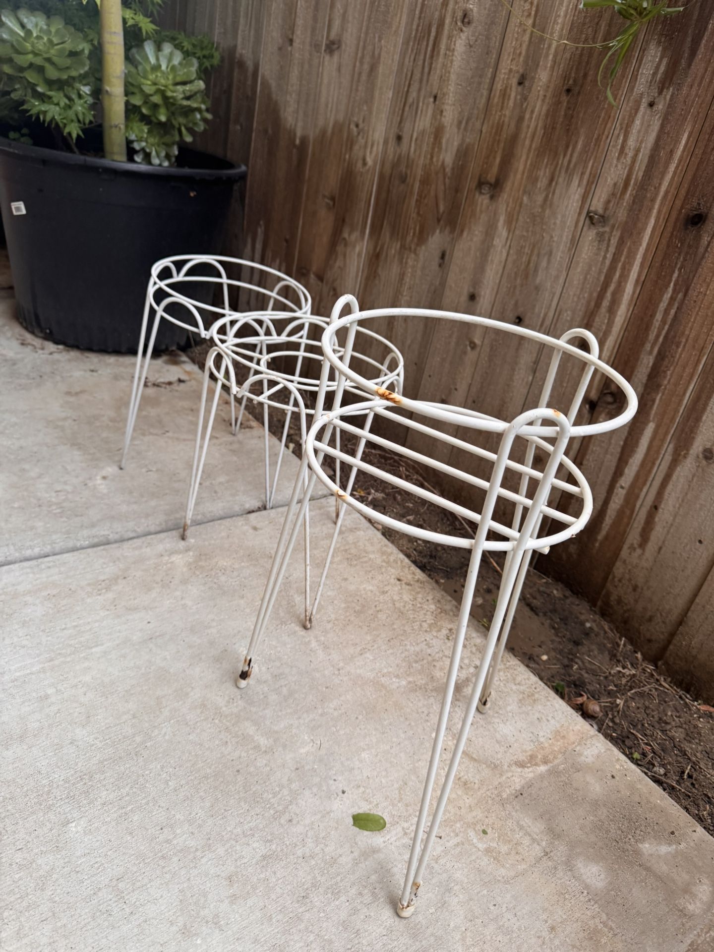 Plant Stands