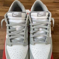 Grey Nike Dunk Low – Worn Twice