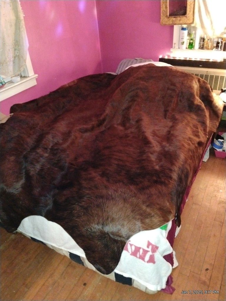 Brazilian Cow Hide