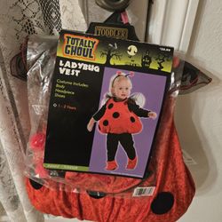 Toddler  Lady Bug Costume