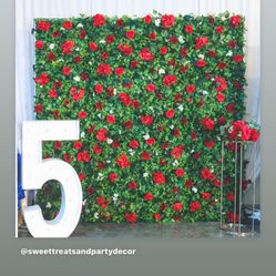 Red Rose Flower Wall Backdrop 