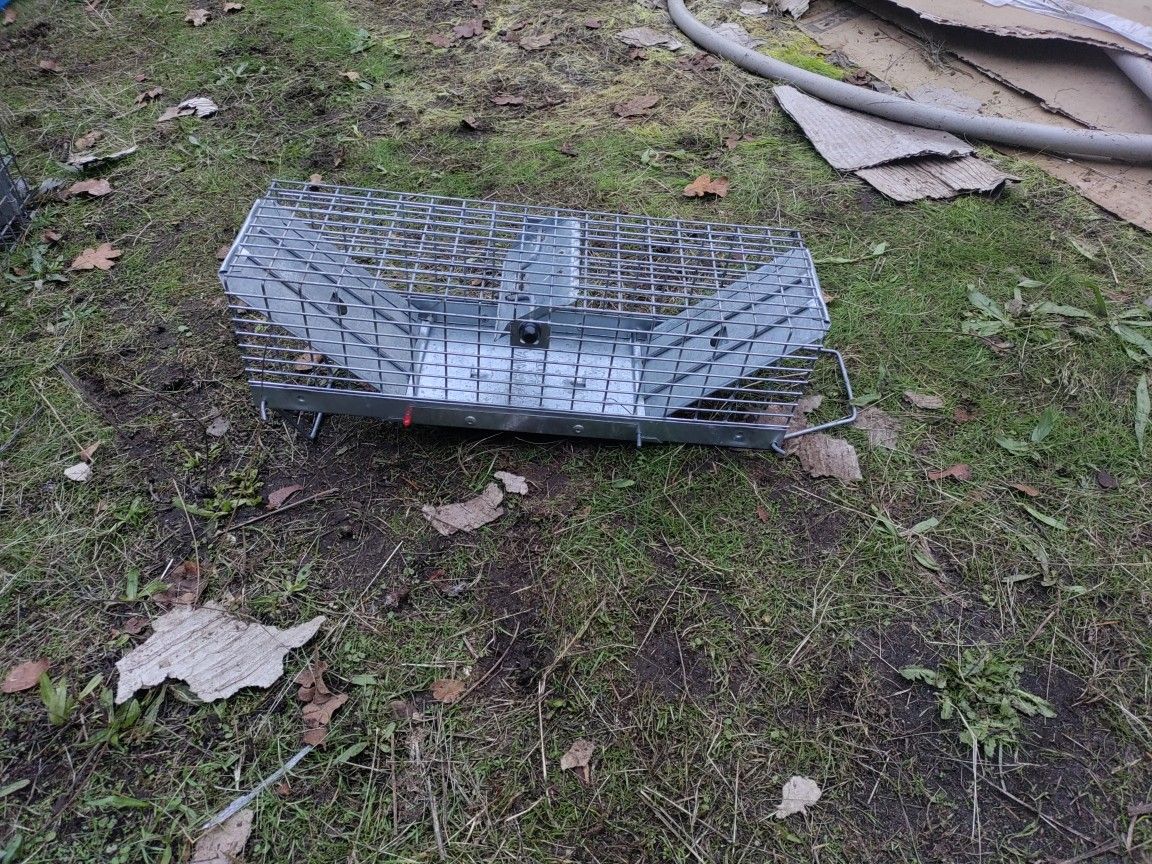 Small Animal Trap