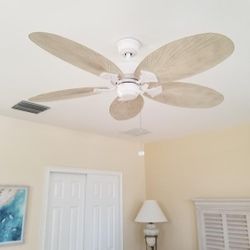 Hampton Bay Lillycrest outdoor ceiling fan 