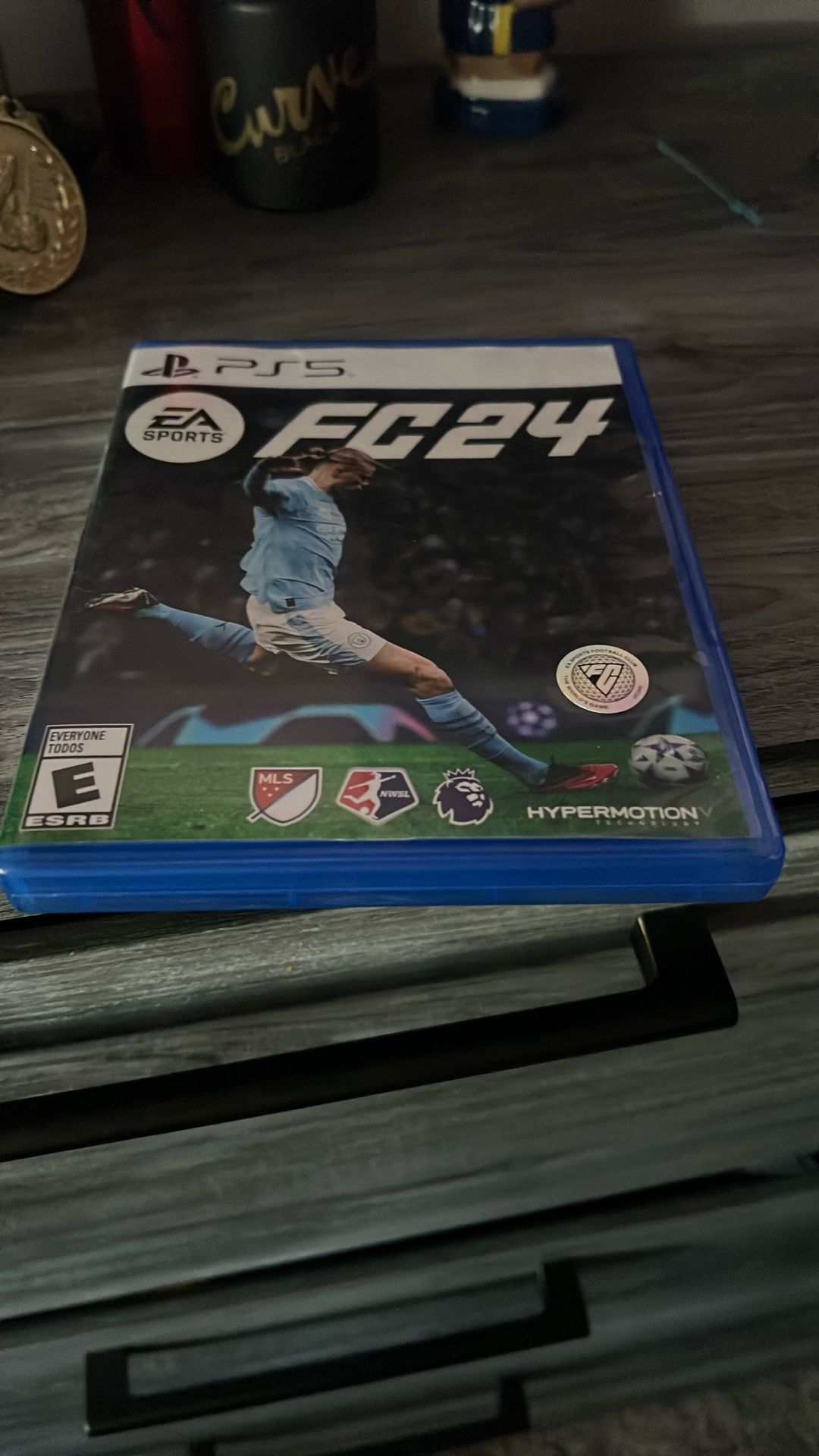 Fc 24