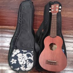 UKULELE WITH 2 CASES LIKE NEW CHEAP
