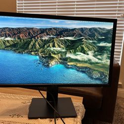 28” Asus 4K Monitor 