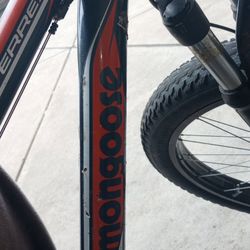 Fat Tire Mongoose Bike 