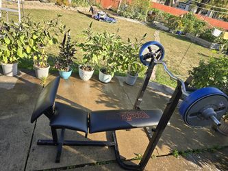 Bench And Weight