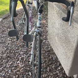 Schwinn Paramount Bike