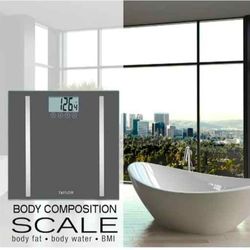 Taylor composition body scale