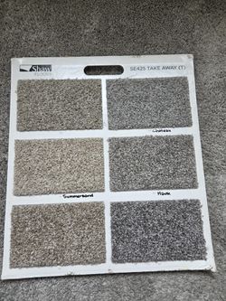 CARPET