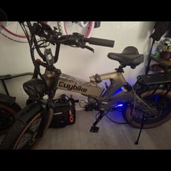 Ebike 