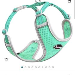 XXS Cat/ Dog Pet Reflective Breathable Soft Air Mesh No Pull Puppy Choke Free Over Head Vest Harness for Puppy Small Medium Dogs and Cats Teal Small