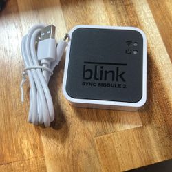 Blink sync module 2