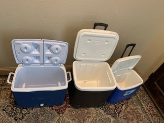 Good condition coolers $45 for all