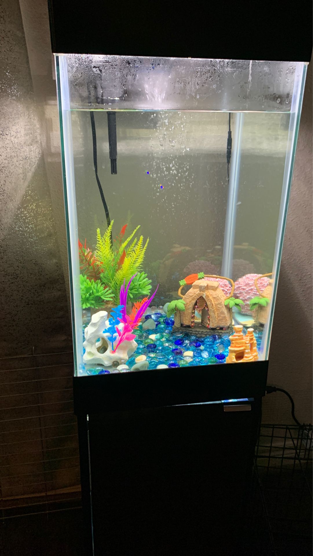 15 gallon fish tank comes with everything I posted