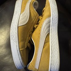 Mustard Puma