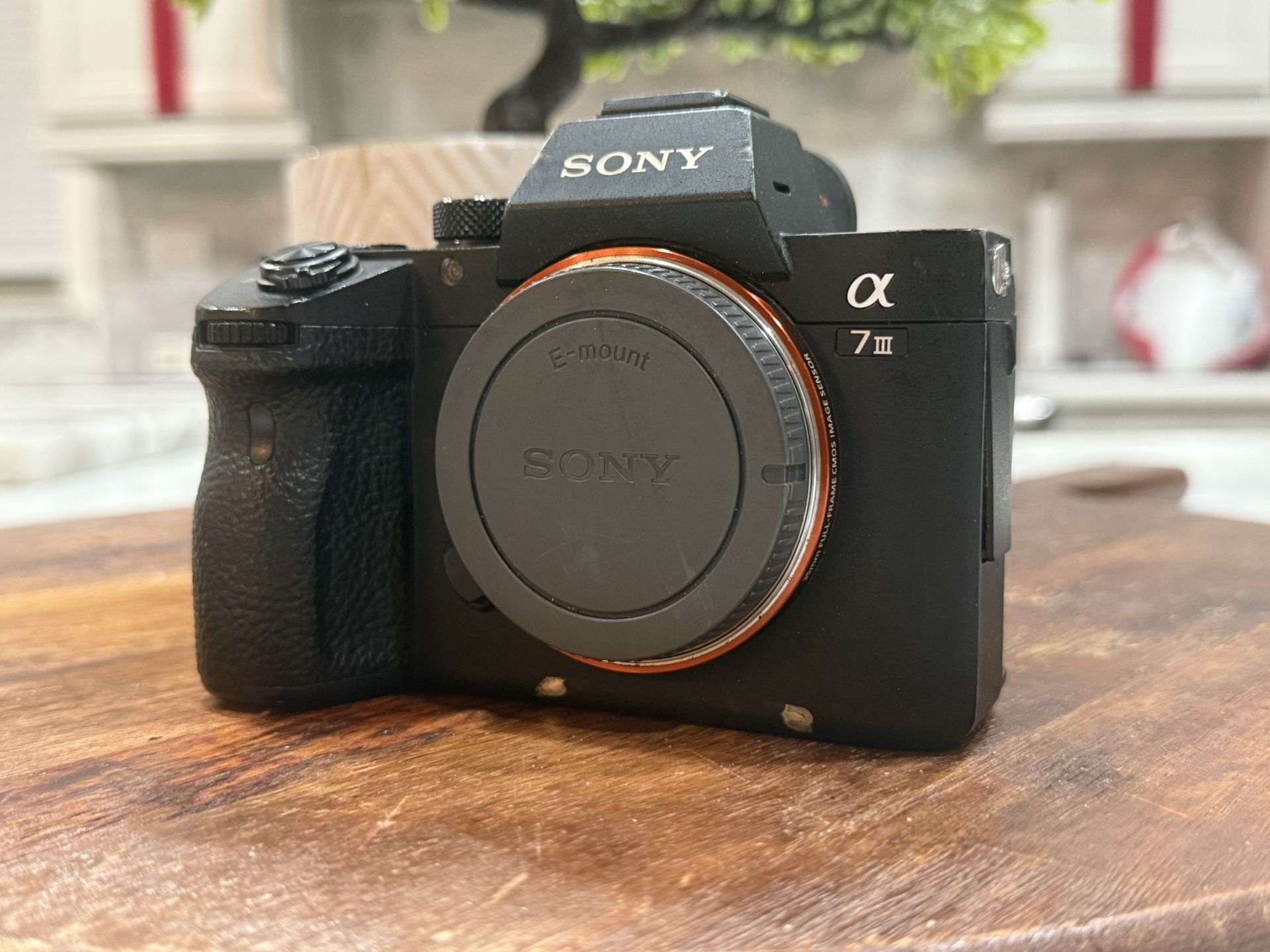A7iii Body 