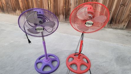 Fans
