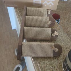 Cat Climbing Stairway