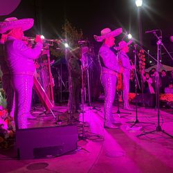Guitarra Acústico De  Mariachi 
