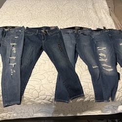 Torrid Jeans 14S