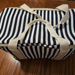 Brand new DSW insulated cooler bag.