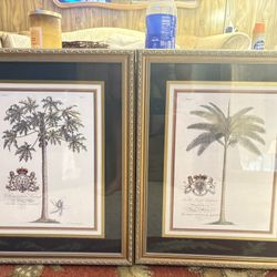 2 Framed Prints